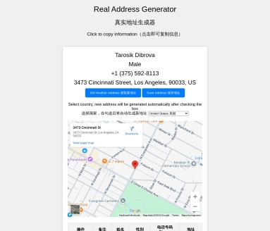 全球地址生成器